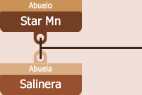 Salinera