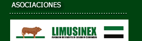 limusinex