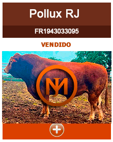 pollux