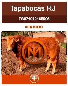 tapabocas