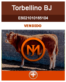 torbellino