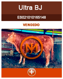 ultra