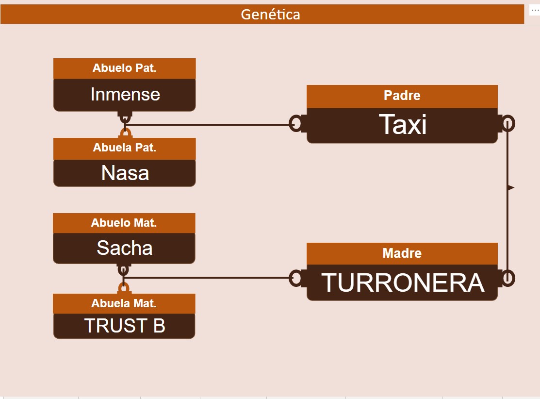 genetica