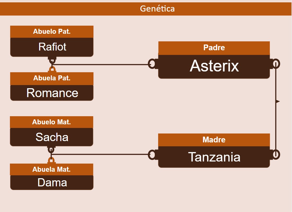 genetica