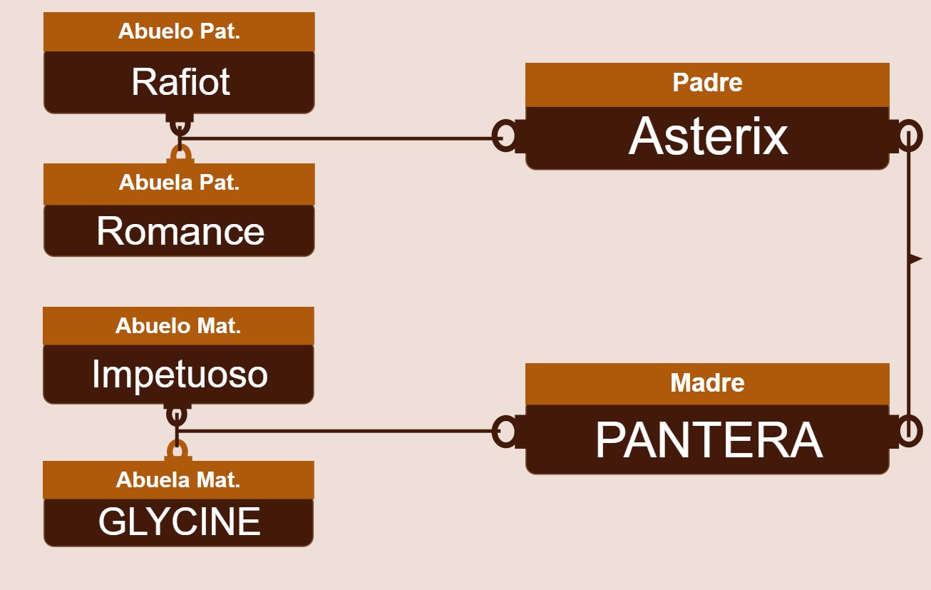 genetica