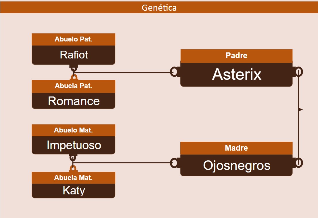genetica