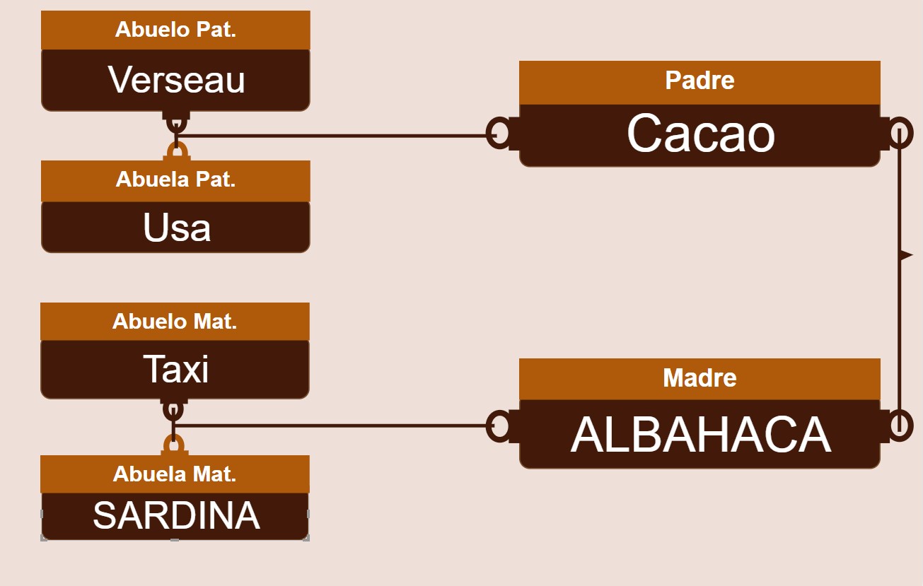 genetica