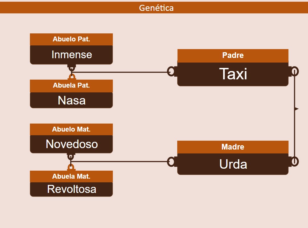 genetica