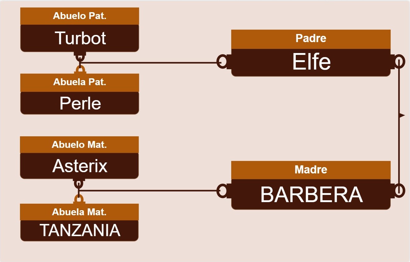 genetica