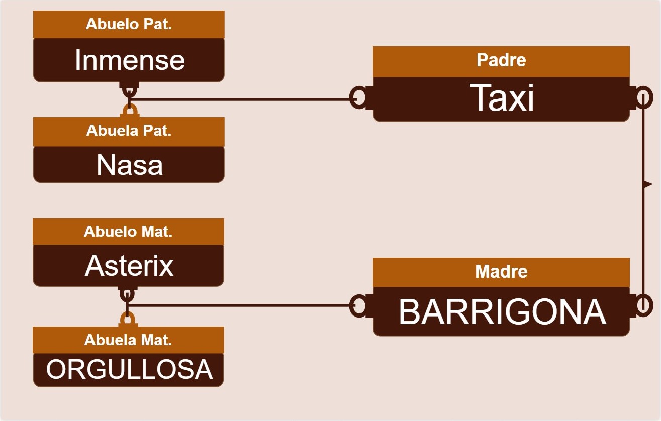 genetica