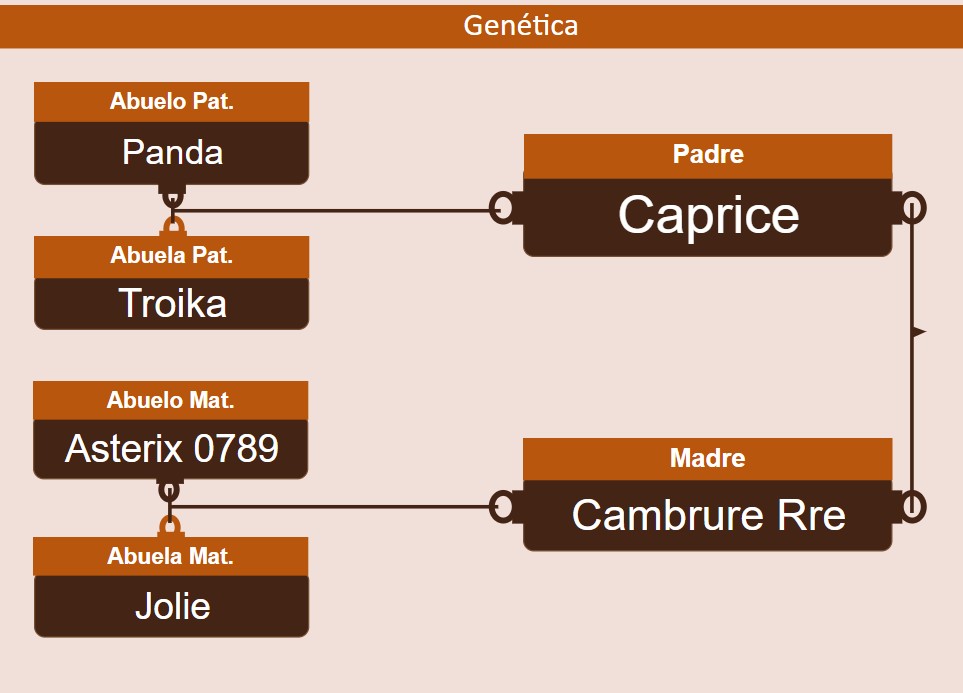 genetica