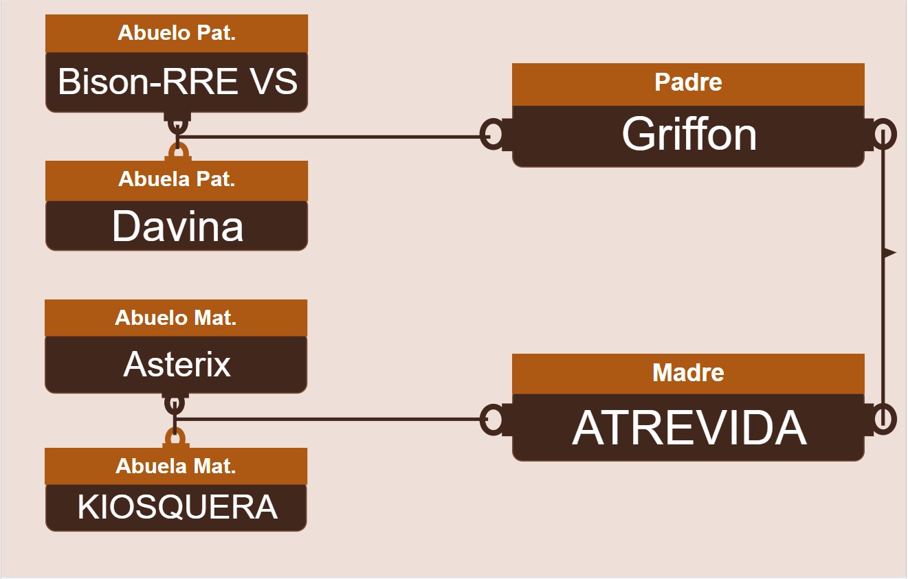 genetica