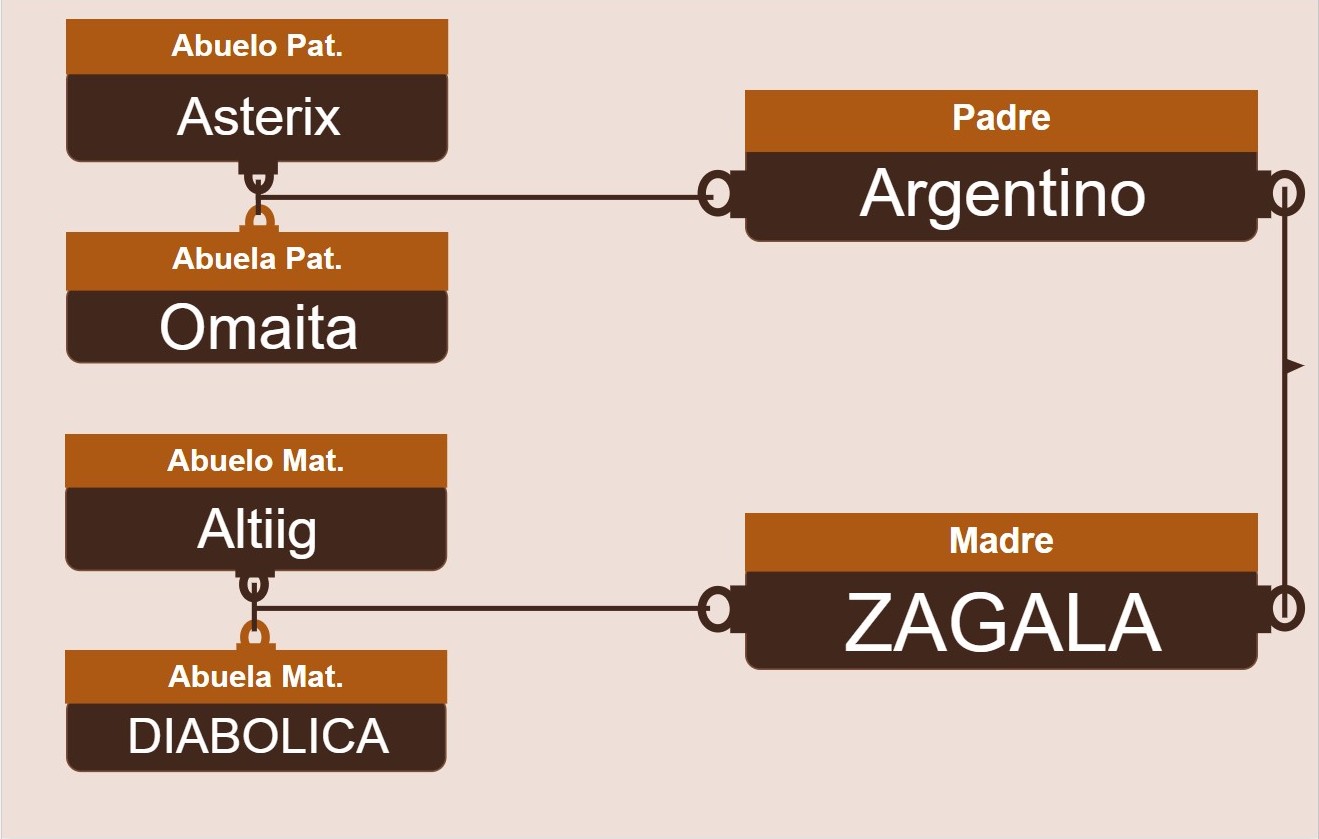 genetica