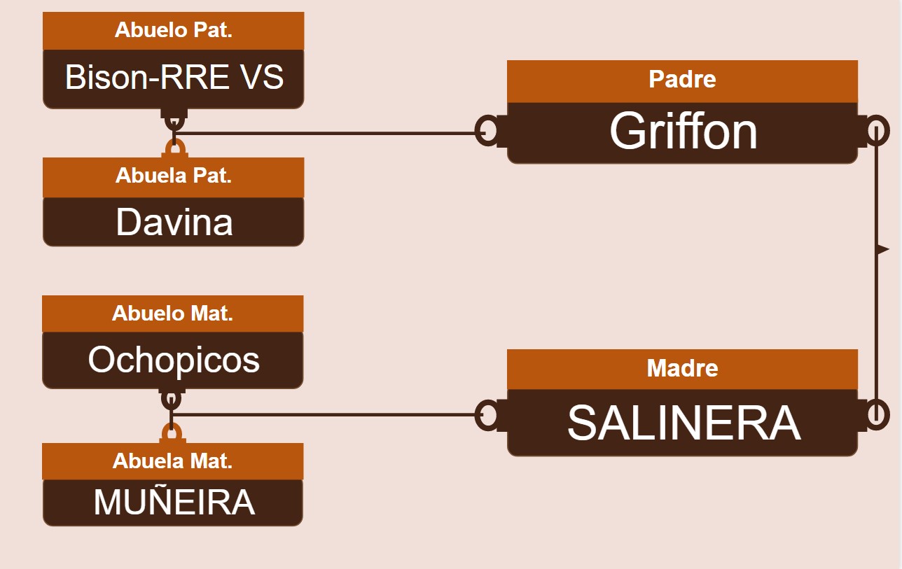 genetica
