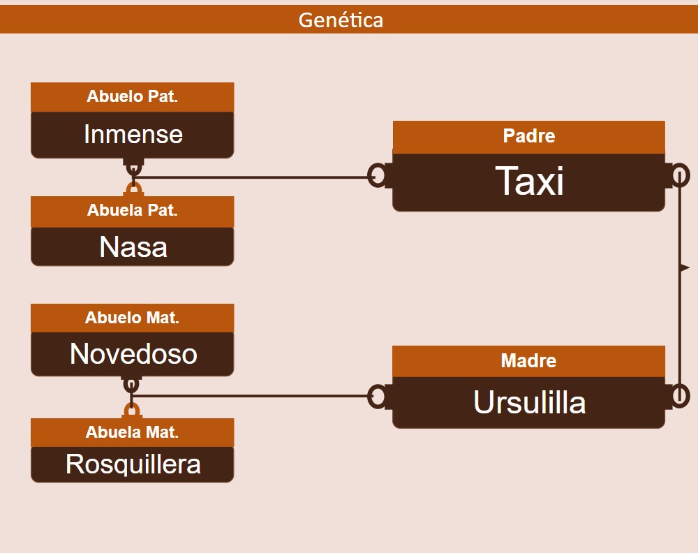 genetica