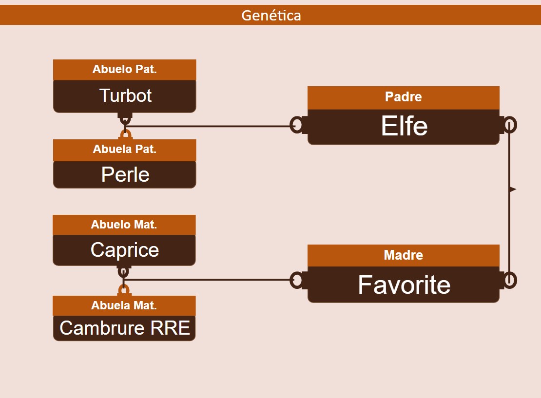 genetica