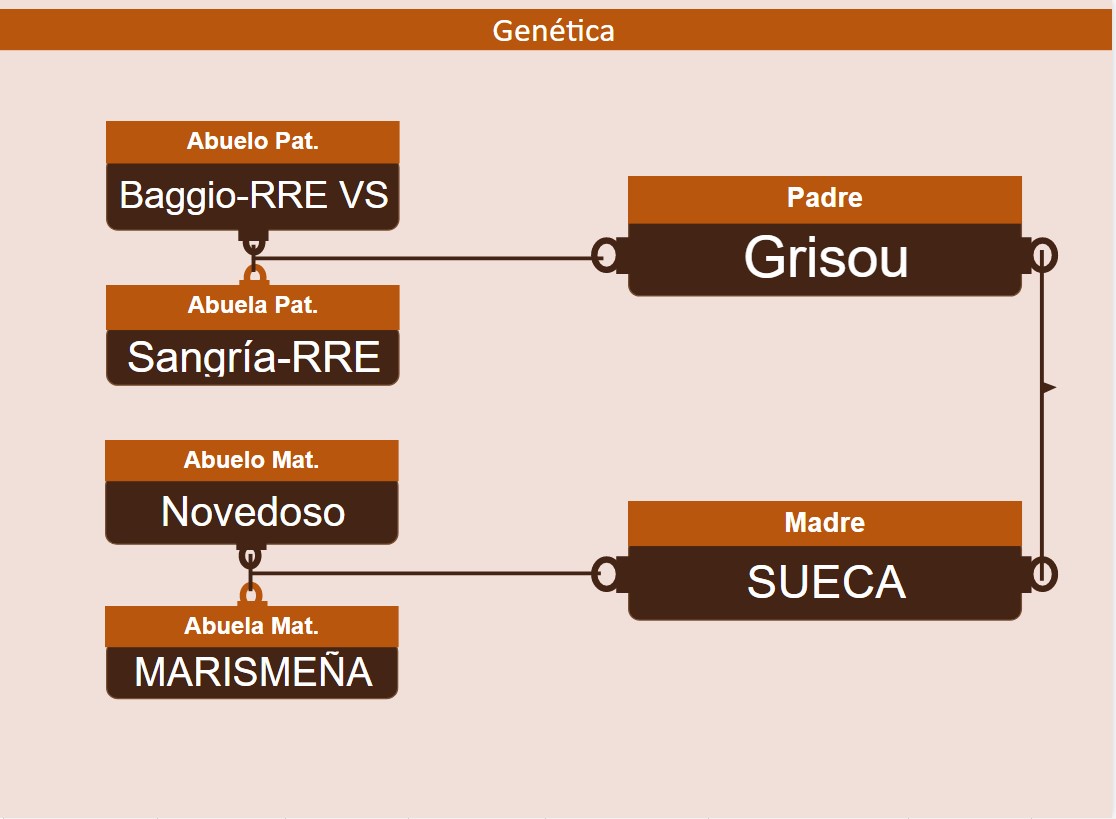genetica