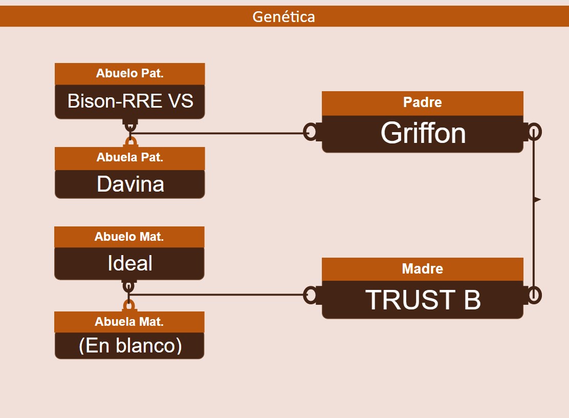 genetica