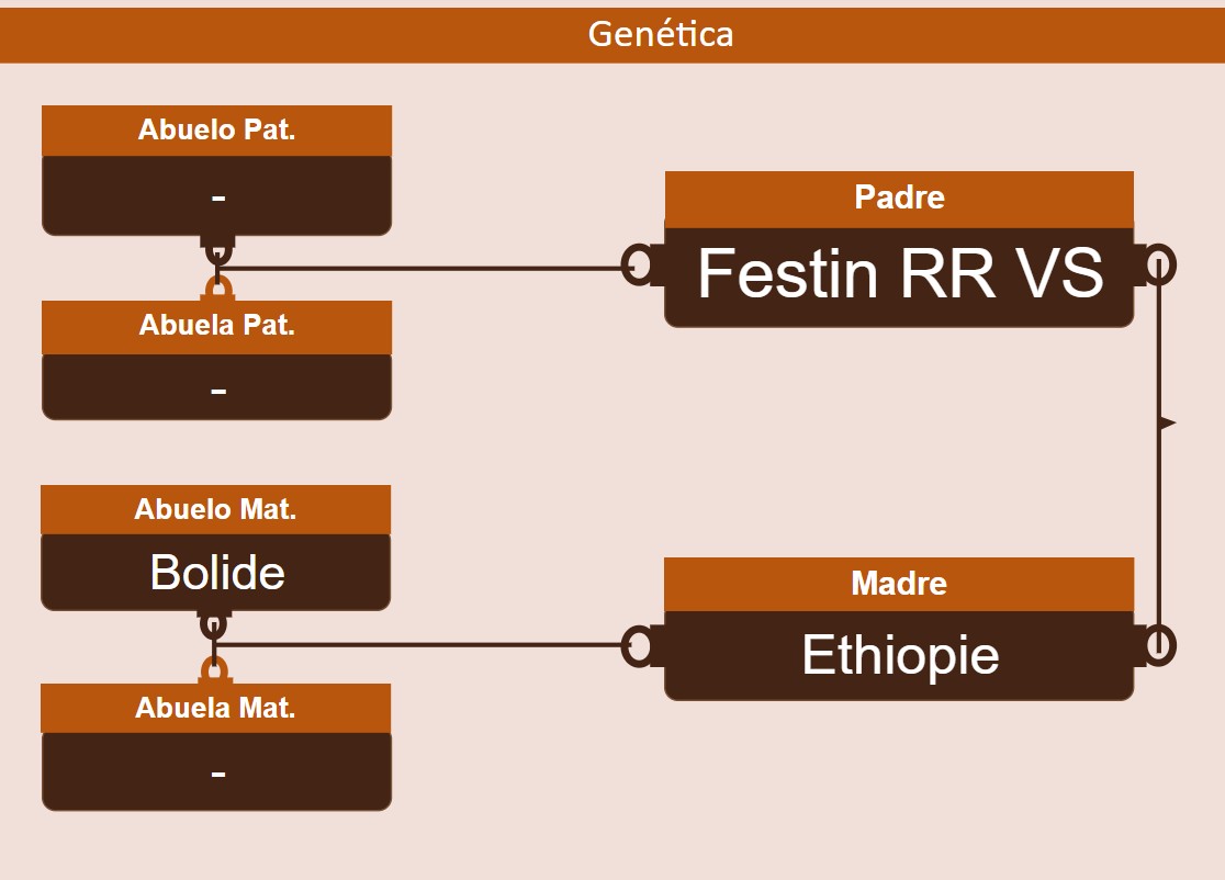genetica