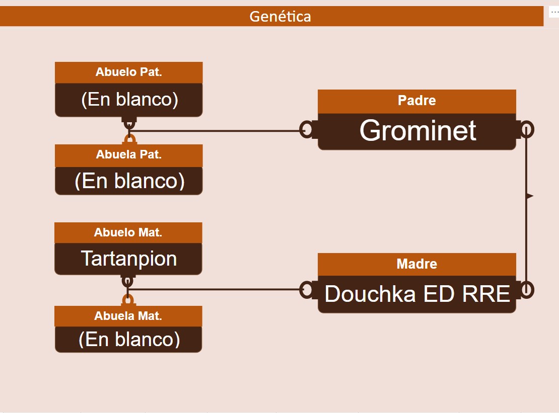 genetica