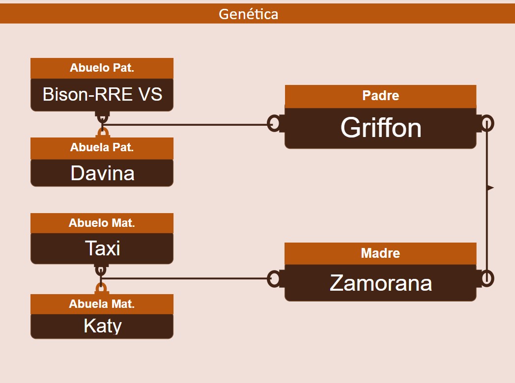 genetica