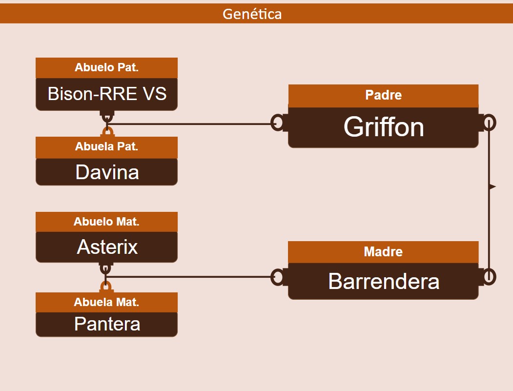 genetica