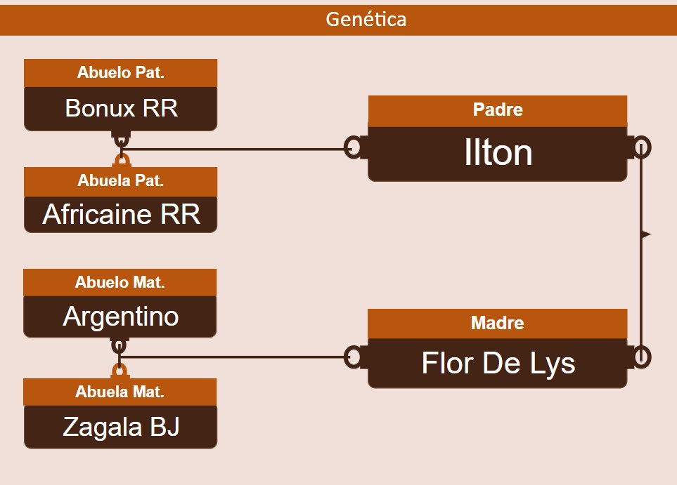 genetica