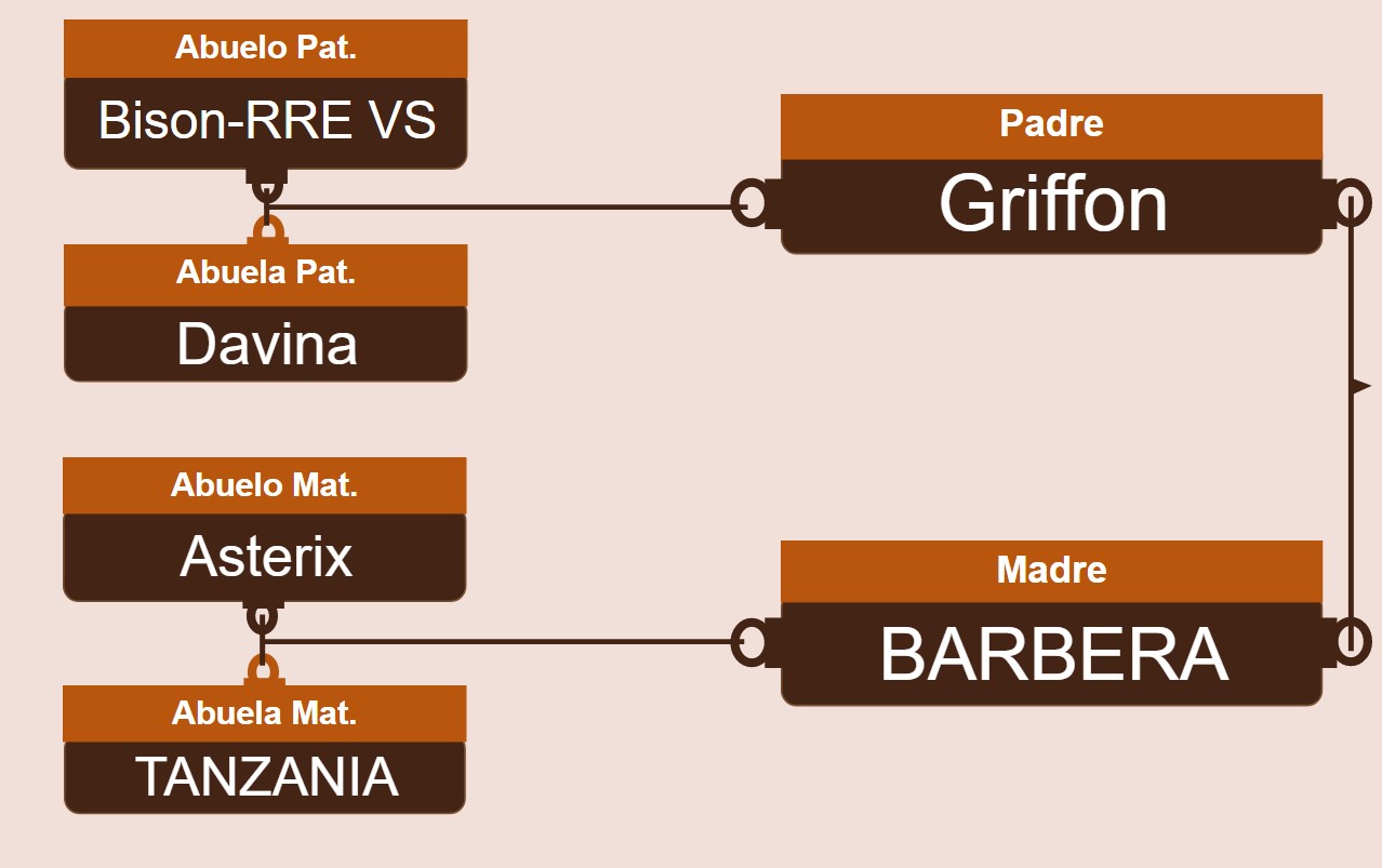 genetica