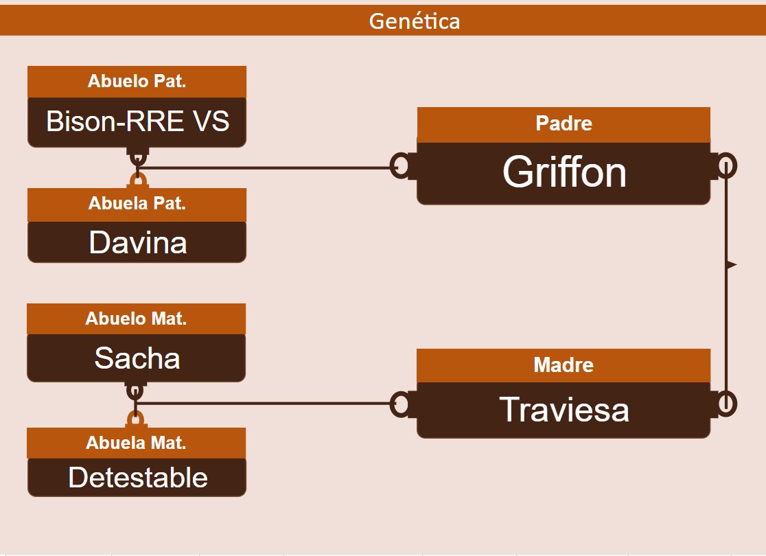 genetica