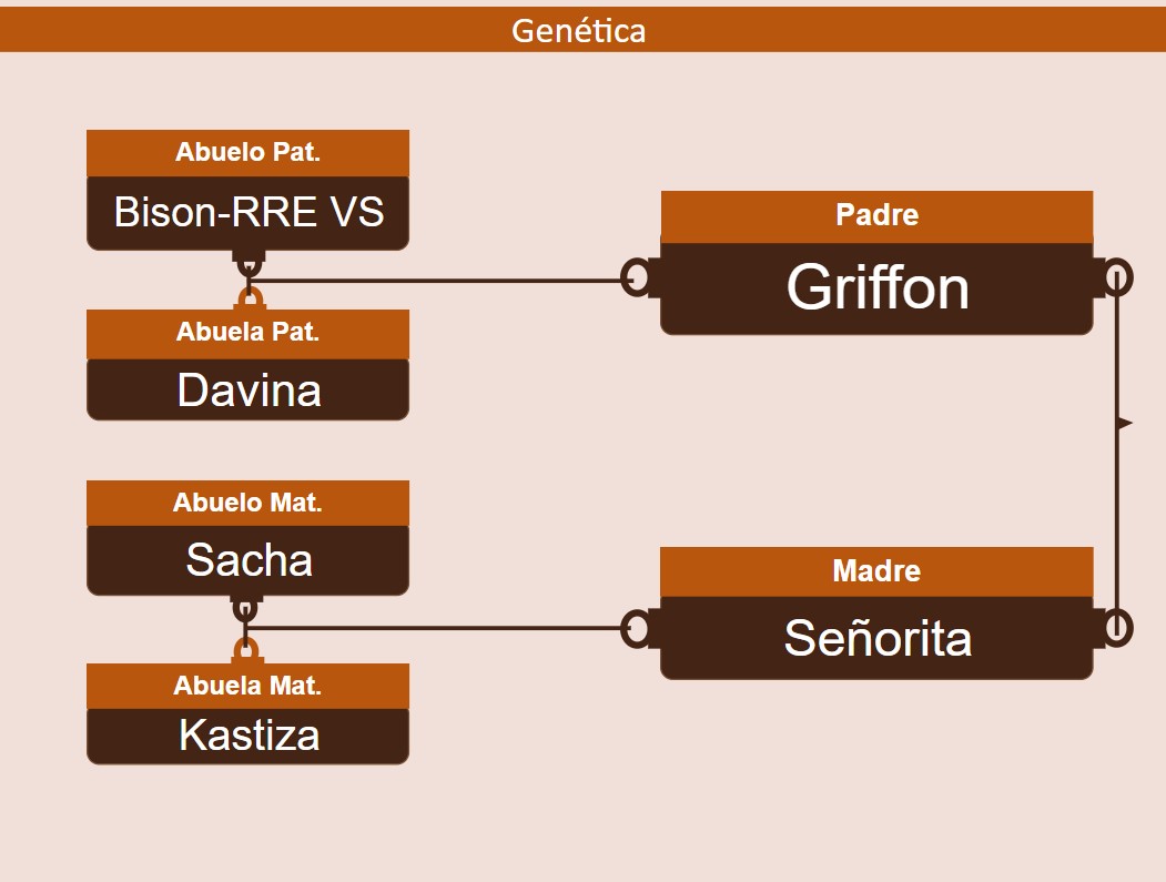 genetica