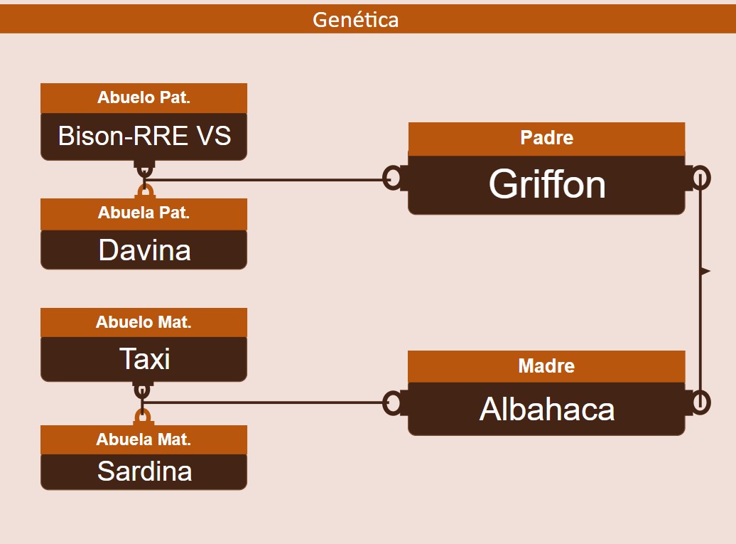 genetica