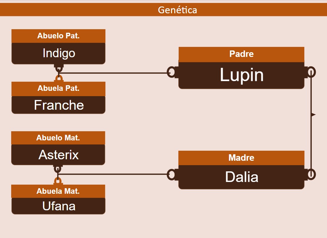 genetica