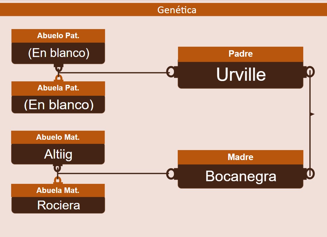 genetica