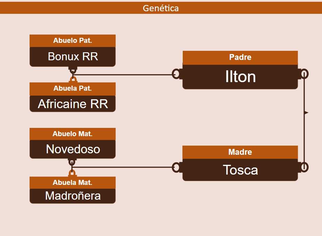 genetica