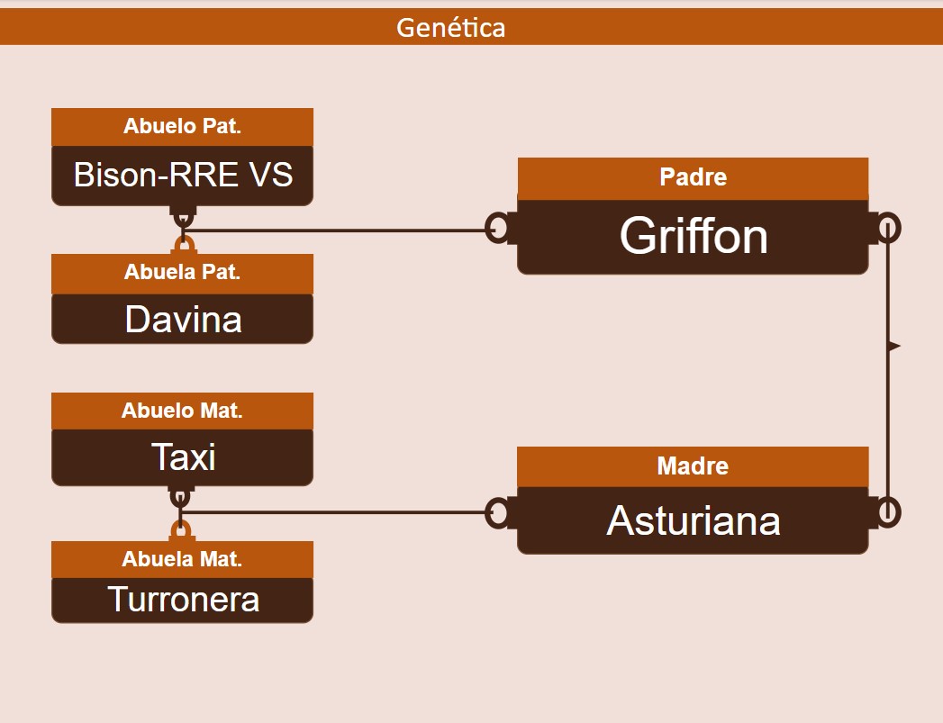 genetica