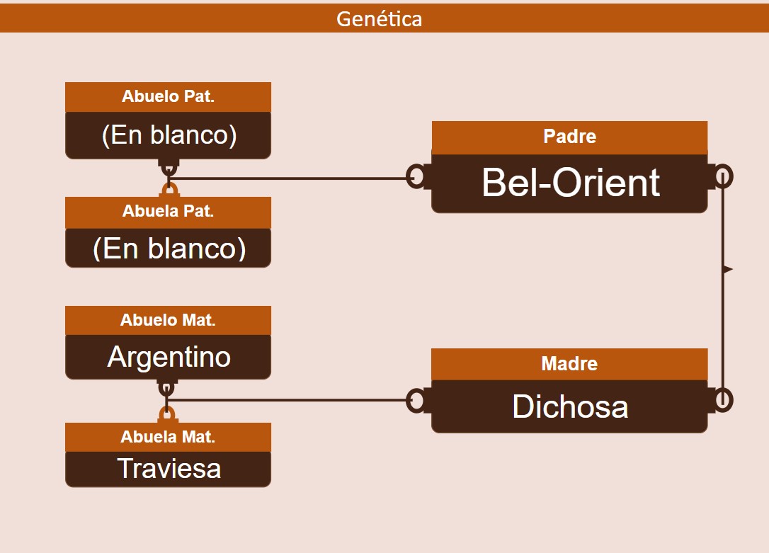 genetica