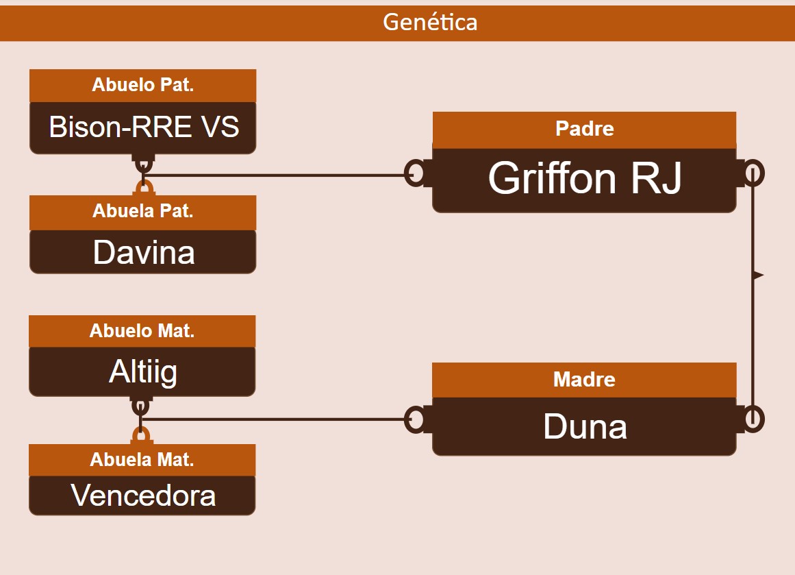 genetica