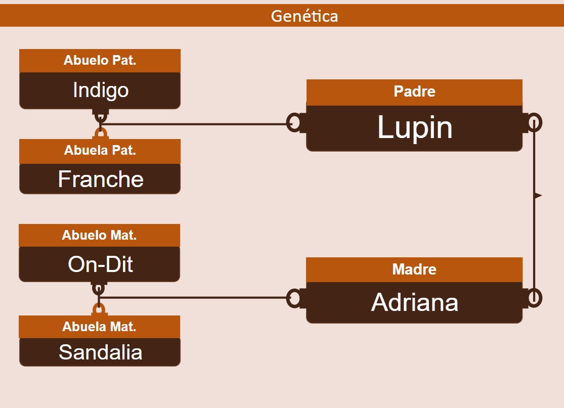 genetica