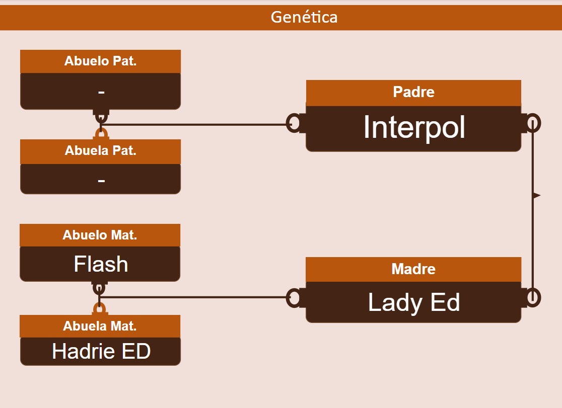 genetica
