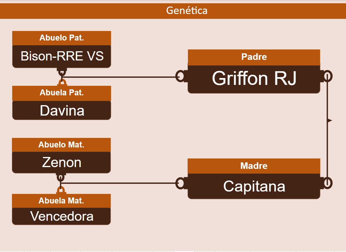 genetica