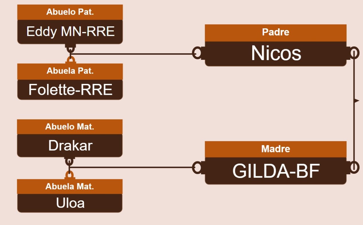 genetica