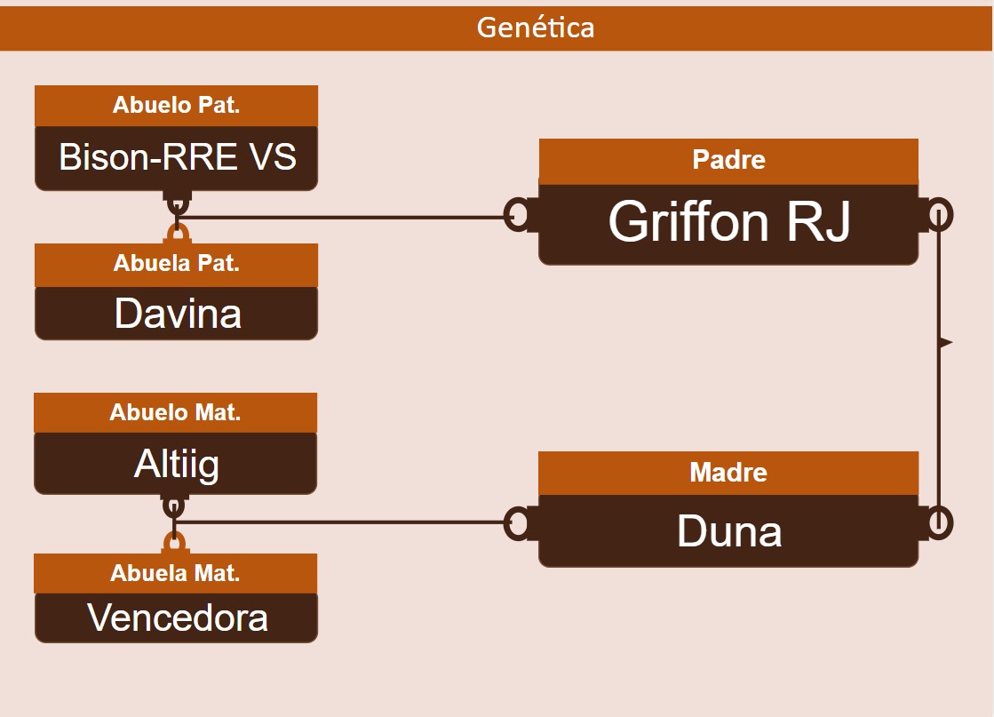 genetica