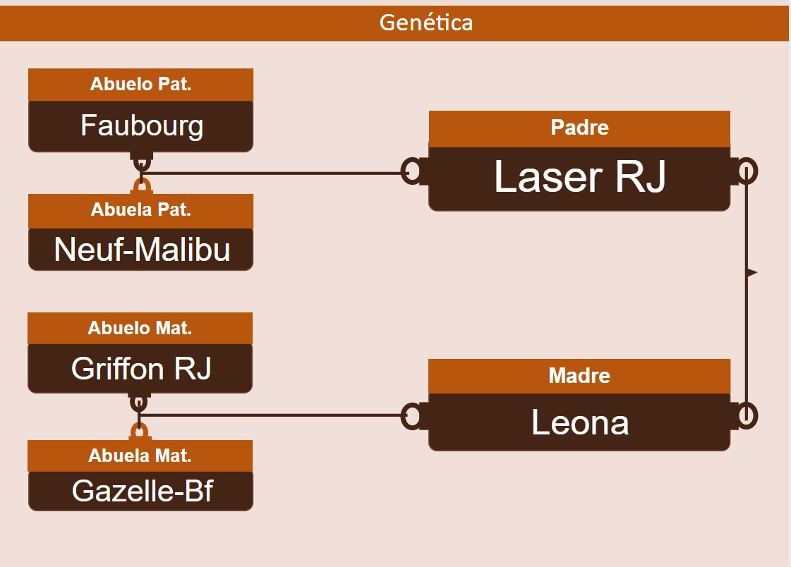 genetica