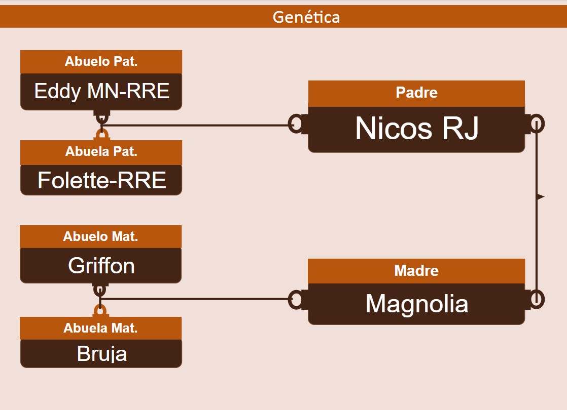 genetica