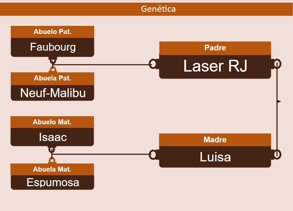 genetica