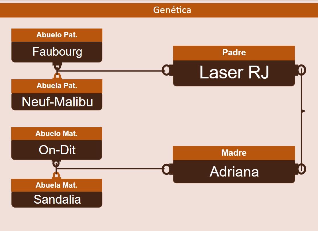 genetica