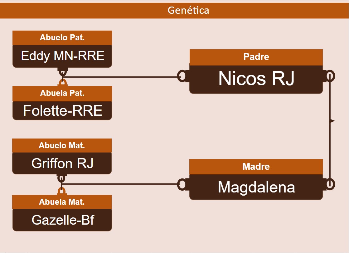 genetica