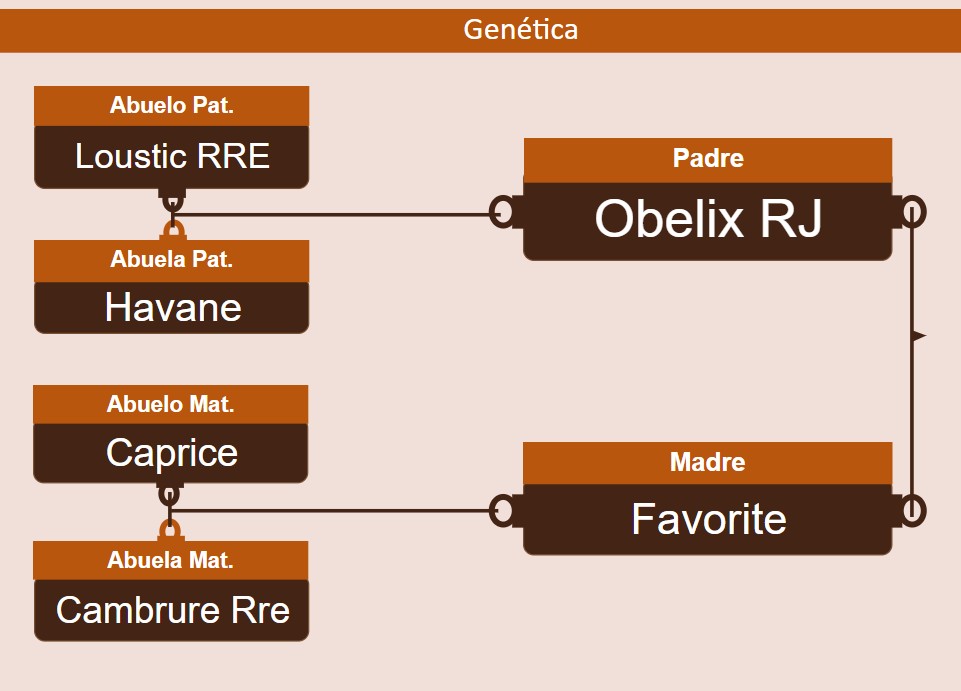 genetica
