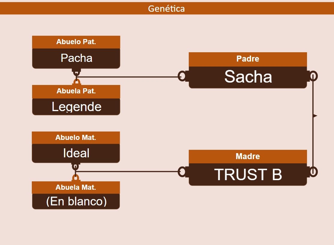 genetica
