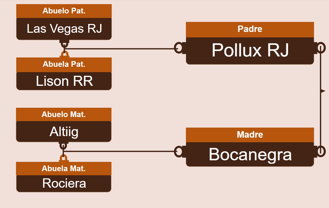 genetica
